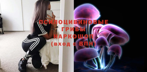 крисы Абаза