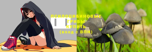 крисы Абаза