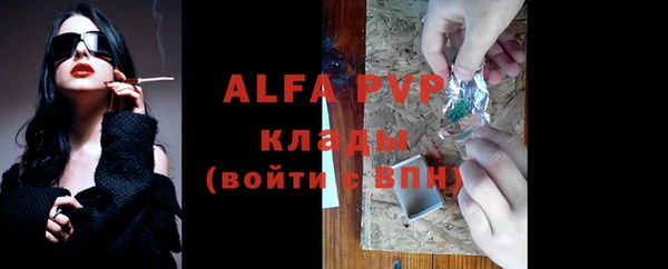 крисы Абаза