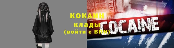 крисы Абаза