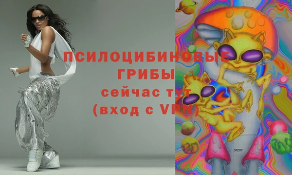 ПСИЛОЦИБИНОВЫЕ ГРИБЫ Алексин