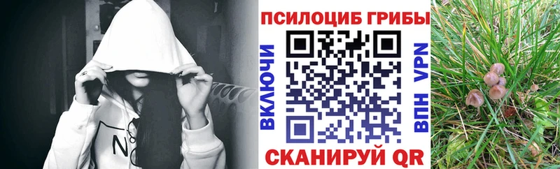 Галлюциногенные грибы GOLDEN TEACHER  Злынка 