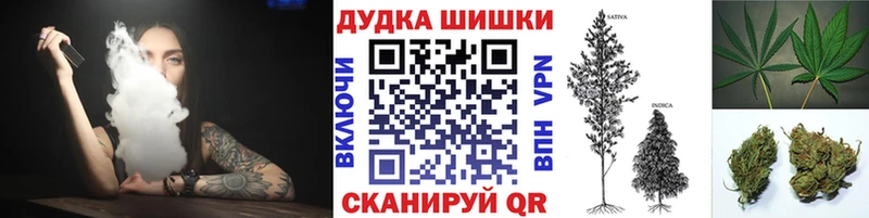 Бошки марихуана ГИДРОПОН  цена наркотик  Злынка 